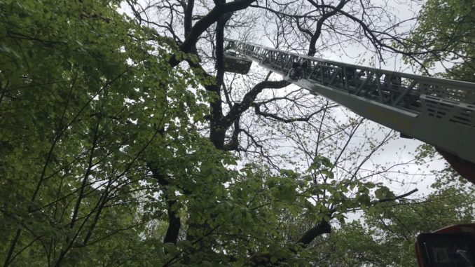 Fortbildung für die Drehleitermaschinisten am 11. Mai 2019
