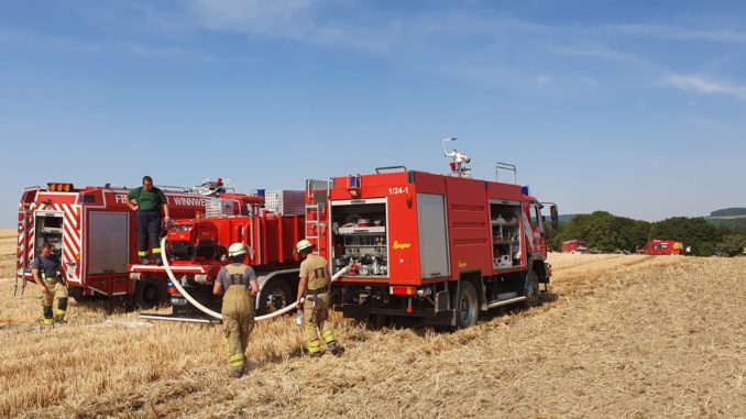 25. Juli 2019 - Flächenbrand, Teschenmoschel