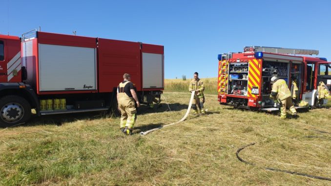 3. Juli 2019 – Flächenbrand, K28 Olsbrücken - Niederkirchen