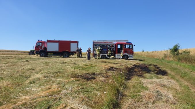 3. Juli 2019 – Flächenbrand, K28 Olsbrücken - Niederkirchen