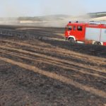 25. Juli 2019 - Flächenbrand, Teschenmoschel