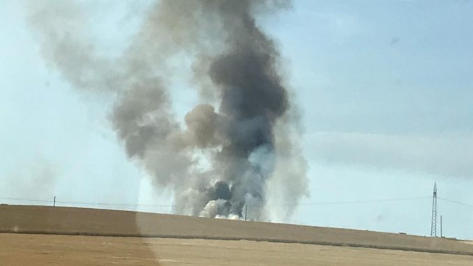 25. Juli 2019 - Flächenbrand, Teschenmoschel