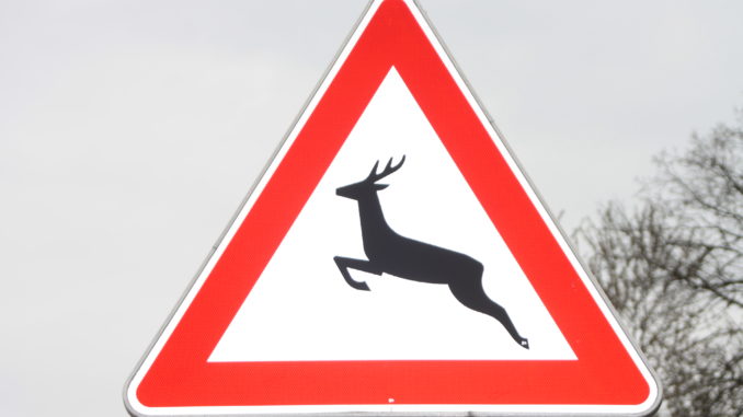 Gefahrenzeichen im Straßenverkehr für Wildwechsel (Symbolbild).