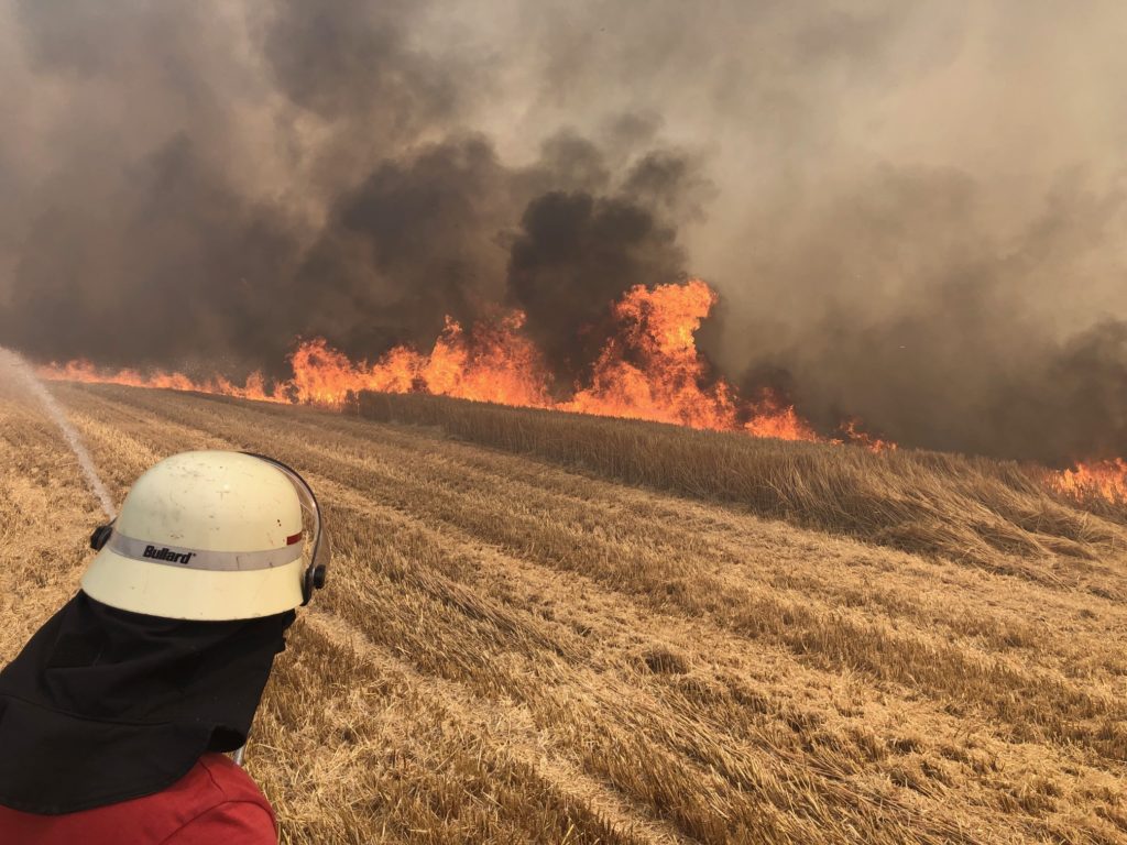 Mit mehreren Rohren bekämpften die Feuerwehreinsatzkräfte den Flächenbrand.