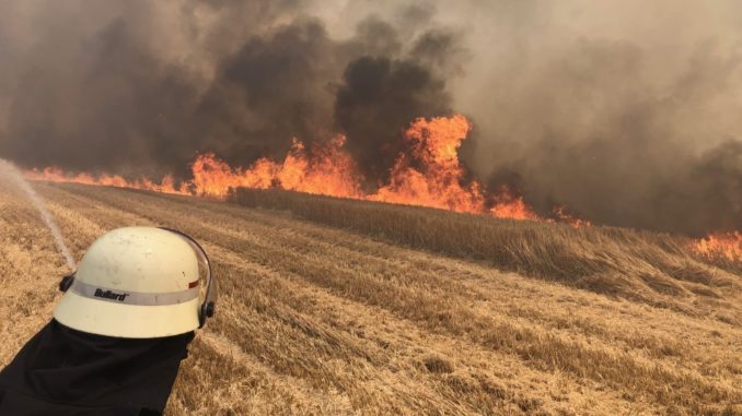 Mit mehreren Rohren bekämpften die Feuerwehreinsatzkräfte den Flächenbrand.