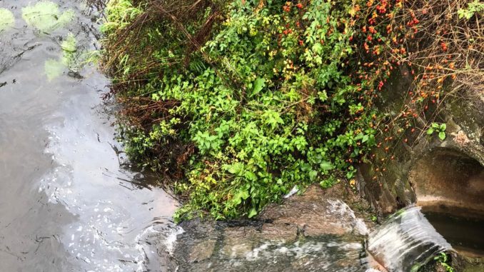27. September 2019 - Öl auf Gewässer, Katzweiler Ziegelhütterstraße