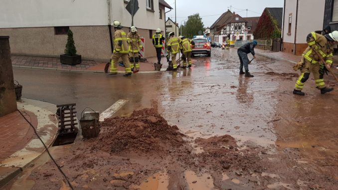 1. Oktober 2019 - Beseitigung Unwetterfolgen, Hirschhorn und Katzweiler
