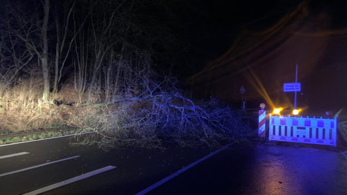 31. Januar 2020 -  Baum über Fahrbahn, B270 Hirschhorn - Olsbrücken