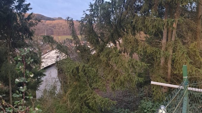 11. Februar 2020 – Baum in Stromleitung, Olsbrücken Am Habel