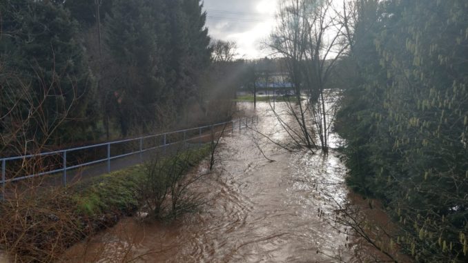 Die Lauter führte bei Olsbrücken Hochwasser.