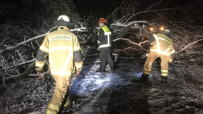27. Februar 2020 - Schneebruch, Otterbach und Otterberg