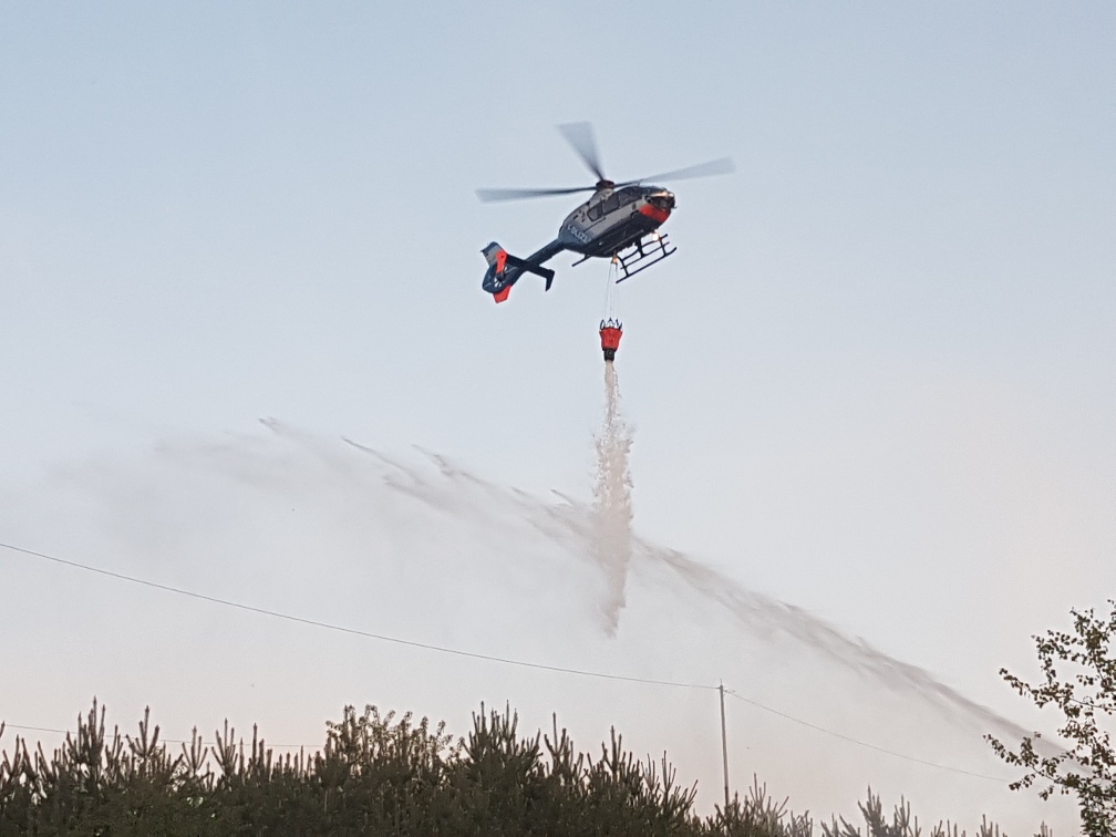 24. April 2020 - Waldbrand, Enkenbach-Alsenborn Birkenstraße