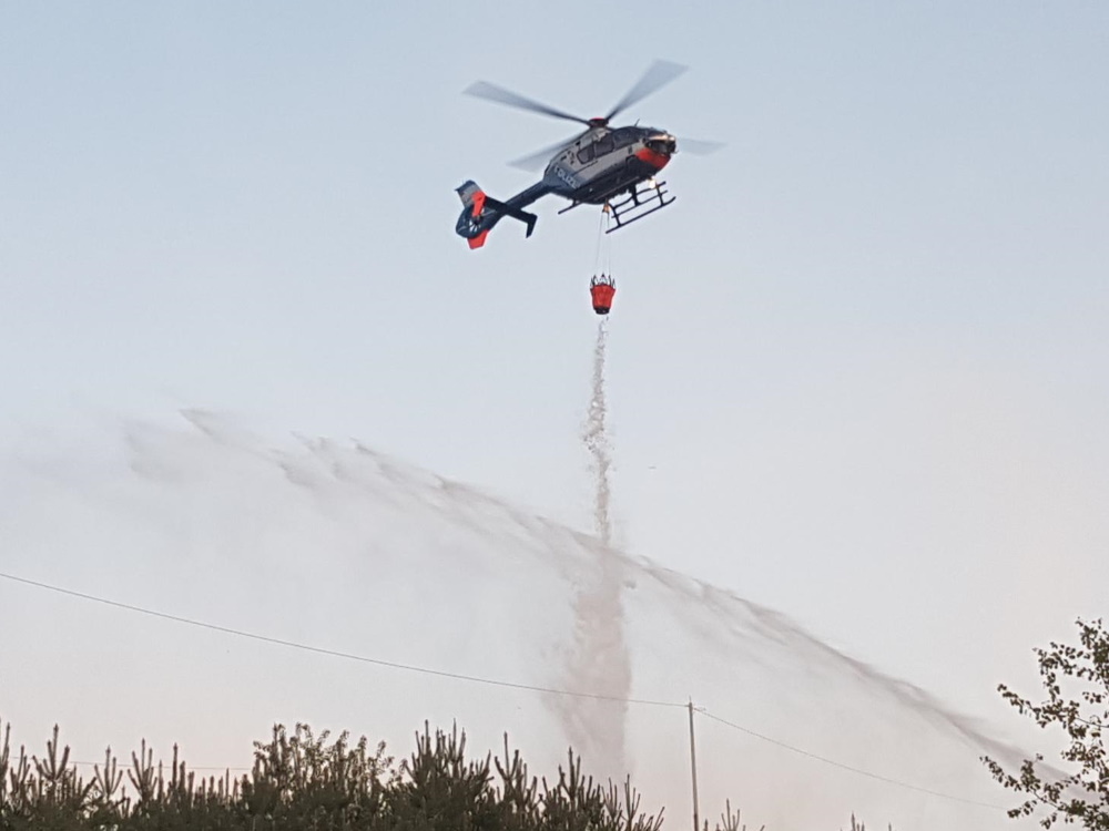 24. April 2020 - Waldbrand, Enkenbach-Alsenborn Birkenstraße