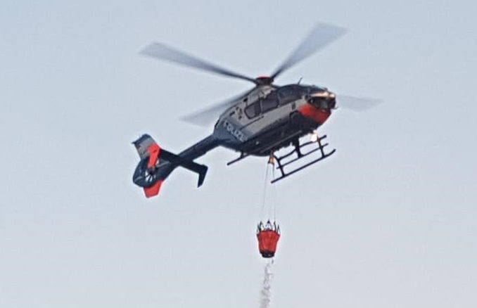 Waldbrand – Richtiges Verhalten im Wald