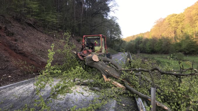 19. April 2020 - Baum über Fahrbahn, L387 Otterberg - Höringen