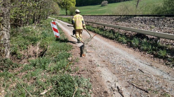 20. April 2020 - Baum über Fahrbahn, Rettungsweg Olsbrücken - Hirschhorn