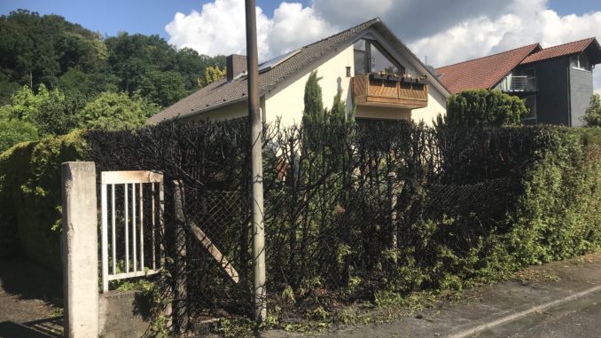 Nach den Löscharbeiten. Mehrere Thujen hatten gebrannt.