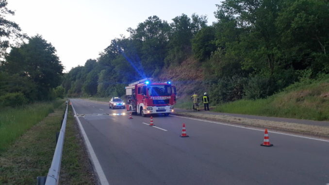 1. Juni 2020 - Flächenbrand, B270 Olsbrücken - Hirschhorn