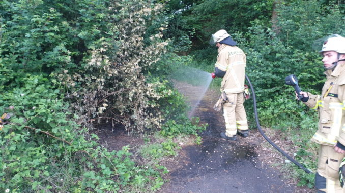 1. Juni 2020 - Flächenbrand, B270 Olsbrücken - Hirschhorn