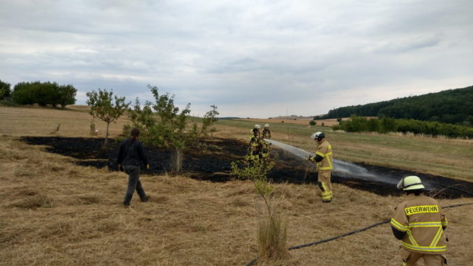 14. Juli 2020 - Flächenbrand, Olsbrücken