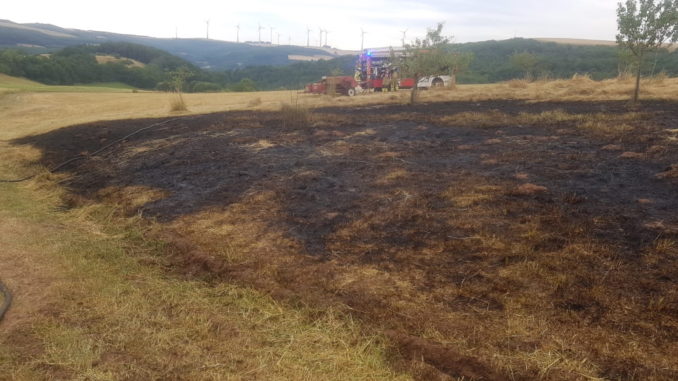 14. Juli 2020 - Flächenbrand, Olsbrücken