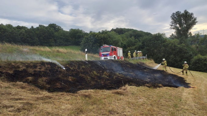 28. Juli 2020 - Flächenbrand, K28 Olsbrücken - Niederkirchen-Wörsbach