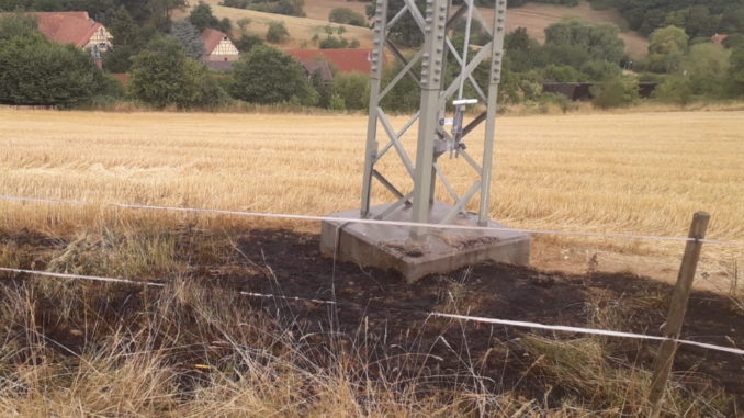 3. August 2020 - Flächenbrand, Niederkirchen Holbornerhof