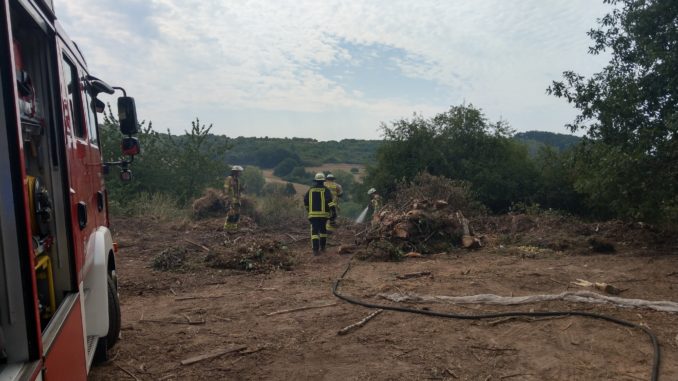 PM Nr. 32 - 11. August 2020 "Einweggrill vermutlich Brandursache auf Grünabfallsammelstelle" / Bild 1