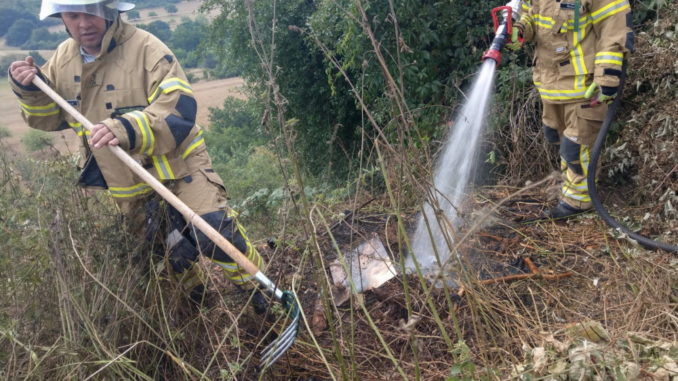 11. August 2020 - Brand Grünabfall, Olsbrücken Oberberg (Grünabfallsammelstelle)