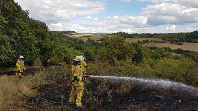 23. August 2020 - Flächenbrand, B270 Olsbrücken - Hirschhorn