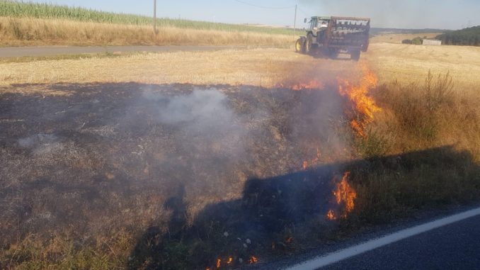 31. Juli 2020 - Flächenbrand, K28 Olsbrücken - Niederkirchen-Wörsbach