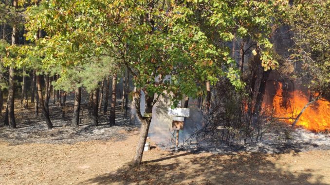 Waldbrand am Trekkingplatz Frankelbach