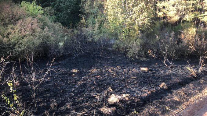 Waldbrand am Trekkingplatz Frankelbach