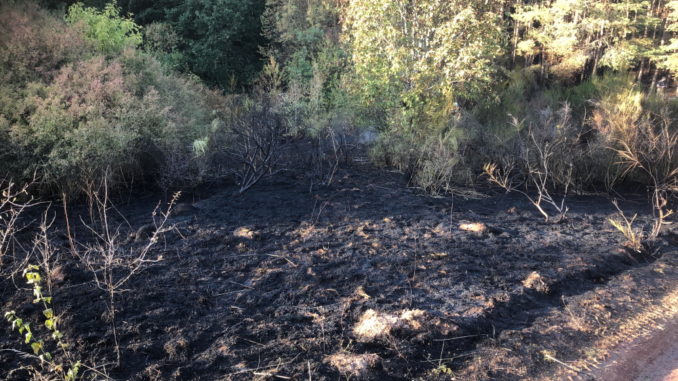 21. September 2020 - Waldbrand, Frankelbach Trekkingplatz