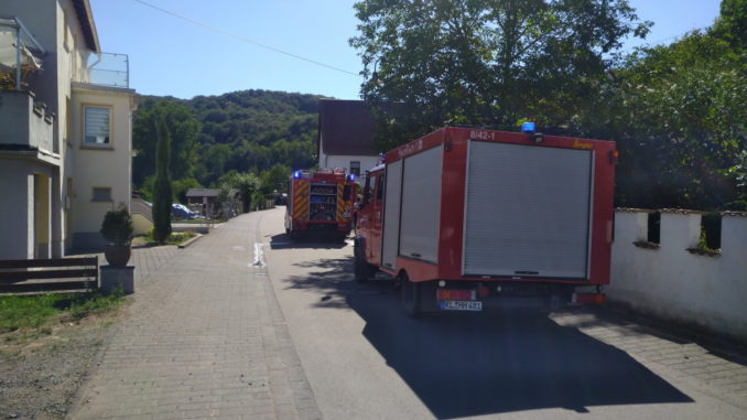8. September 2020 - Rauchentwicklung im Freien, Sulzbachtal Pferchstraße