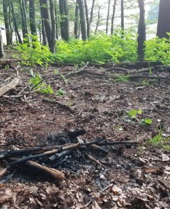 20. Juli 2021 - Feuerschein im Wald, Otterbach Himmelreich