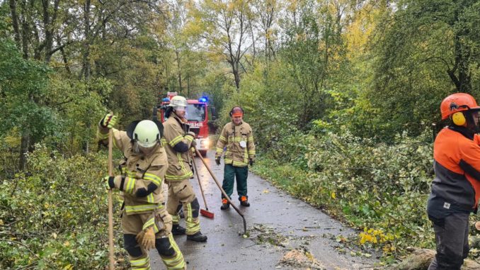 Feuerwehrangehörige beseitigen umgestürzte Bäume im Bereich Sulzbachtal.