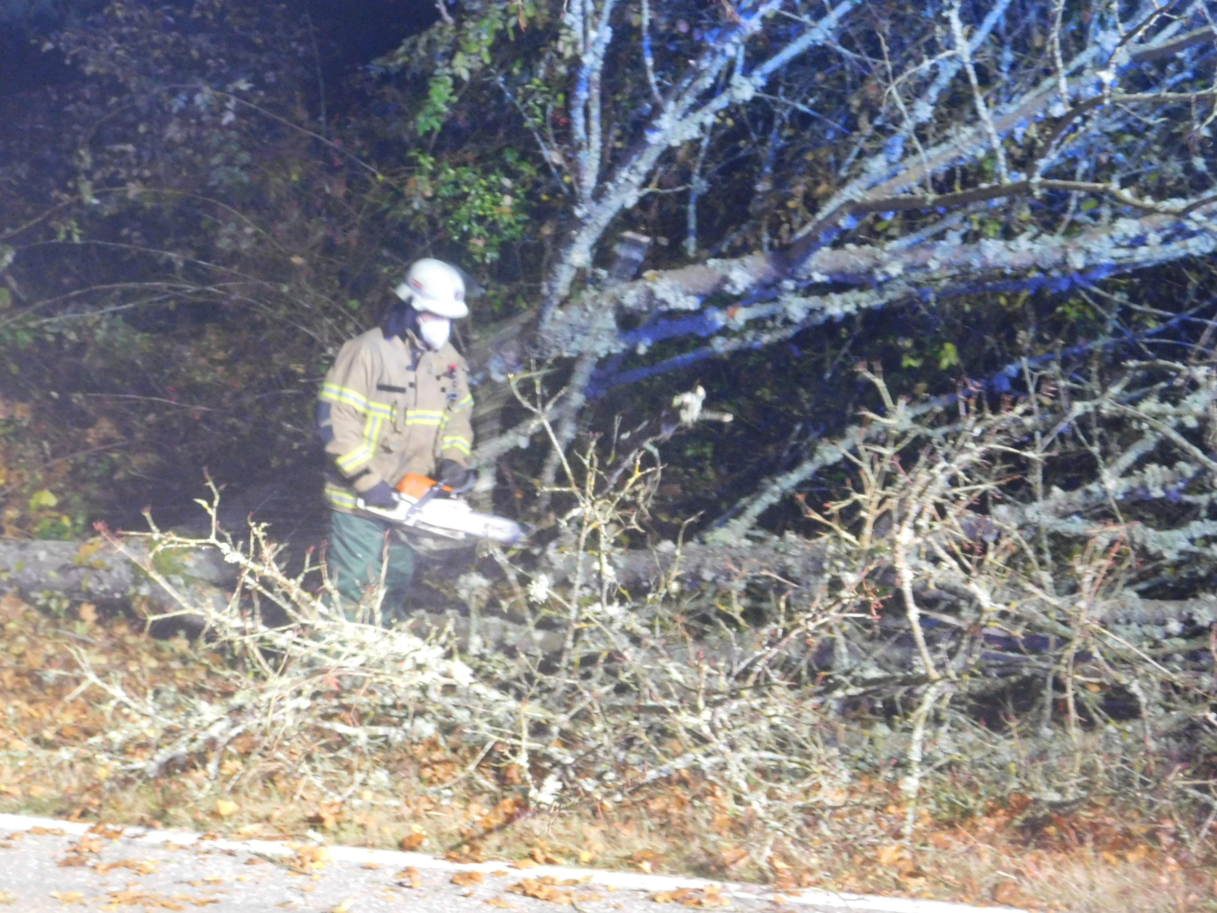 Mit einer Motorsäge zersägt ein Feuerwehrangehöriger den abgeknickten Baum.