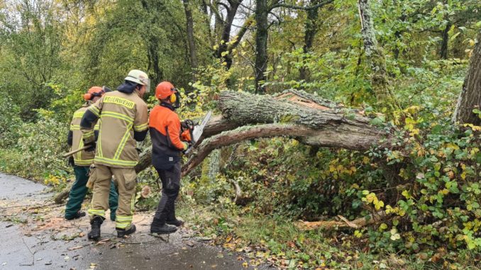 Feuerwehrangehörige beseitigen umgestürzte Bäume im Bereich Sulzbachtal.