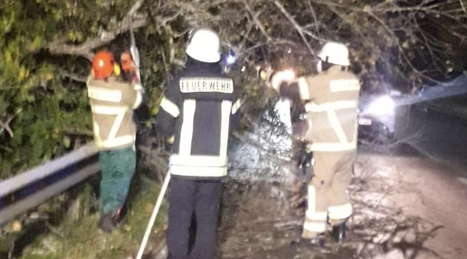 21. Oktober 2021 - Beseitigung Sturmfolgen, Verbandsgemeindegebiet