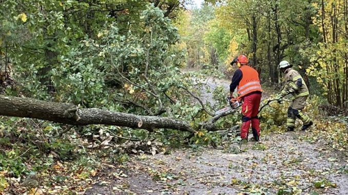 21. Oktober 2021 - Beseitigung Sturmfolgen, Verbandsgemeindegebiet