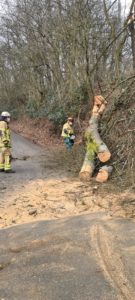 Ein umgestürzter Kirschbaum blockierte in Frankelbach eine Straße.
