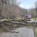 17. Februar 2022 - Baum über Fahrbahn, Frankelbach Ruhling