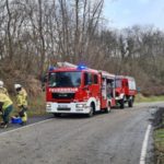 17. Februar 2022 - Baum über Fahrbahn, Frankelbach Ruhling