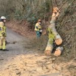 17. Februar 2022 - Baum über Fahrbahn, Frankelbach Ruhling