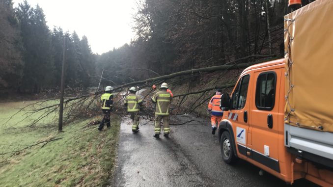Zusammen mit der Straßenmeisterei beseitigte die Feuerwehr einen umgestürzten Baum, der die K37 zwischen Althütterhof und Weinbrunnerhof blockierte.