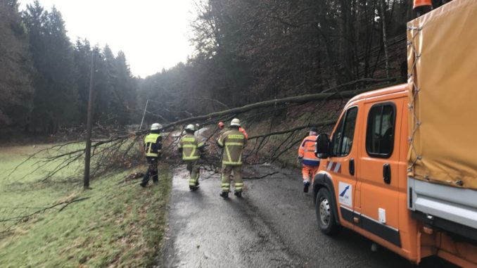 6. Februar und 7. Februar 2022 - Beseitigung Sturmfolgen, Verbandsgemeindegebiet