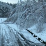 8. April und 9. April 2022 - Beseitigung Unwetterfolgen (Schneefall), Verbandsgemeindegebiet
