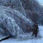 8. April und 9. April 2022 - Beseitigung Unwetterfolgen (Schneefall), Verbandsgemeindegebiet