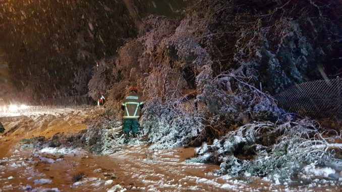Baum hängt auf Fahrbahn (K40 Otterbach - Kaiserslautern).